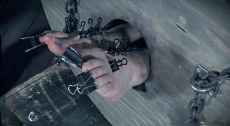bdsm feet free sexy image