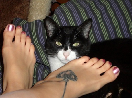 pretty feet free sexy gallery