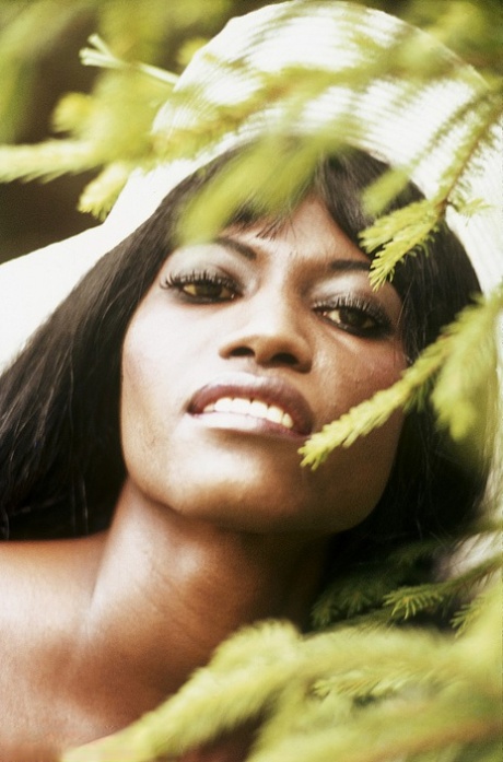 visage débène beau xxx galerie