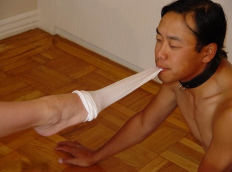 女性主导的脚 高畫質 圖片