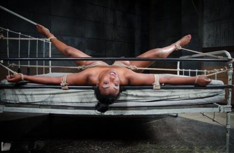 ぽっちゃりBDSM ヌード 写真