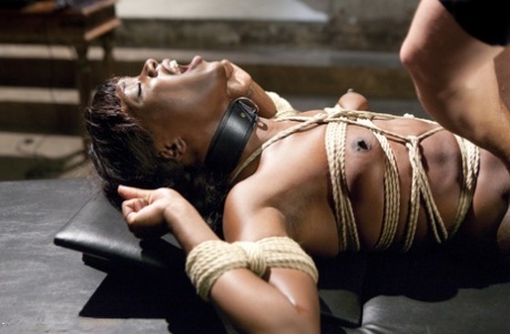 svart bdsm hd nudes gallerier