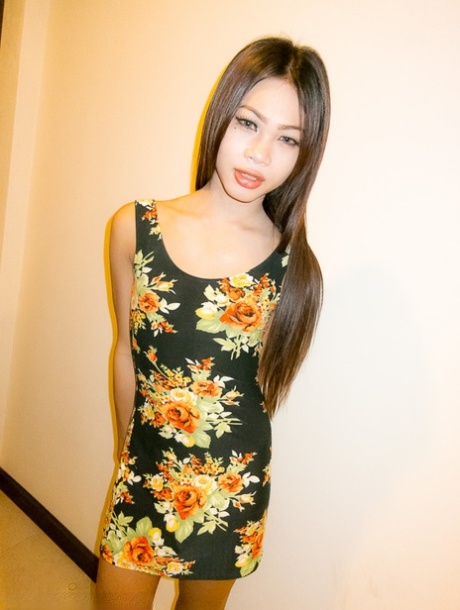 lille ladyboy gratis xxx arkiv