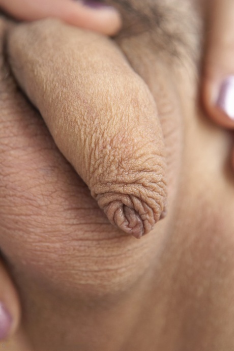 hairy shemale sexy naked galleries
