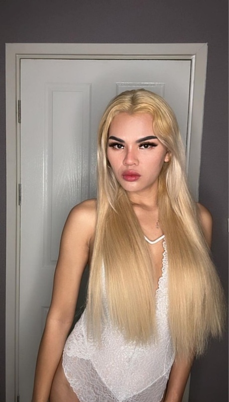 het ladyboy hd gratis arkiv