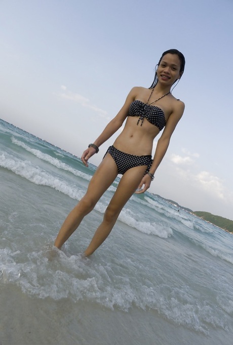 ladyboy bikini hd pics
