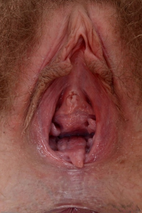 hairy pussy spread hot naked archive
