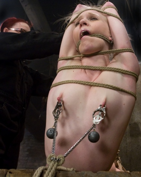 små bryster milf voksen hd Foto