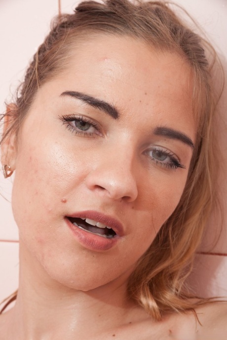 holandés hermosa hd galería