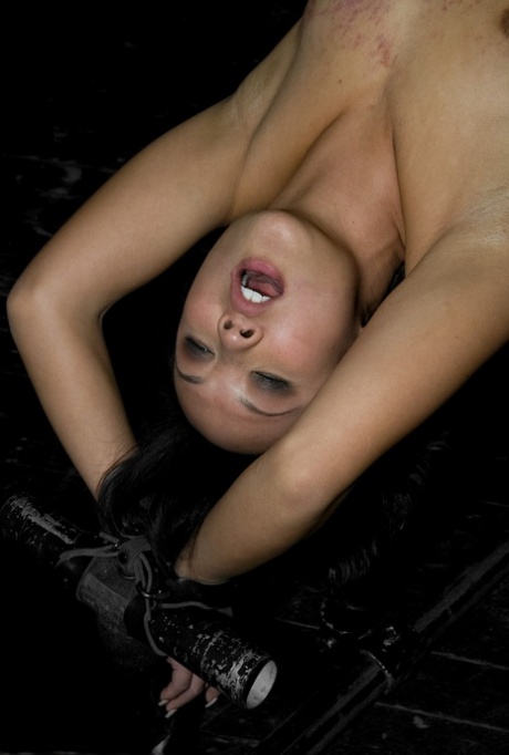 Claire Adams star top photo