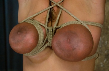tette bdsm migliore alta qualità gallerie