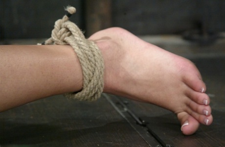asiatisk bondage nudes sex samling