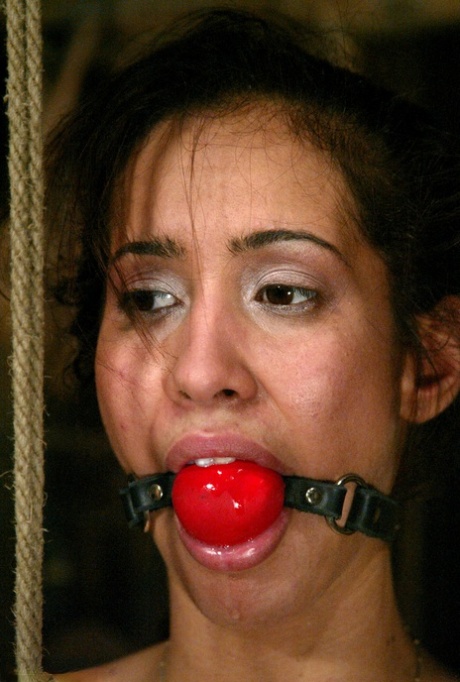 拉丁裔 BDSM 火辣性感 檔案