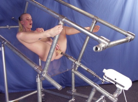 Sharon Wild star xxx picture