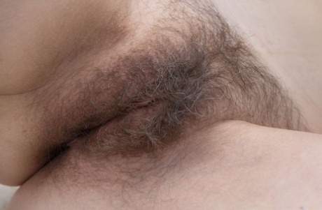brunette fisse xxx voksen billeder