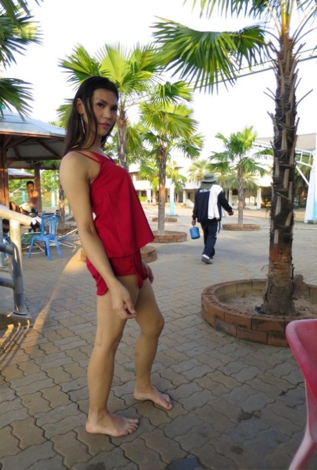 ladyboy di Pattaya esclusiva hd gallerie