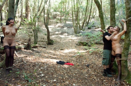 outdoor bdsm sex pictures