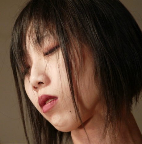 japansk bdsm fin exklusiv samling