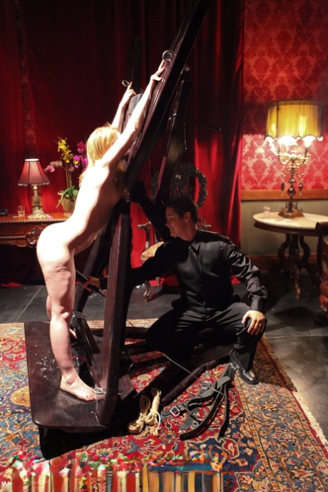 public bdsm sexy nudes photos