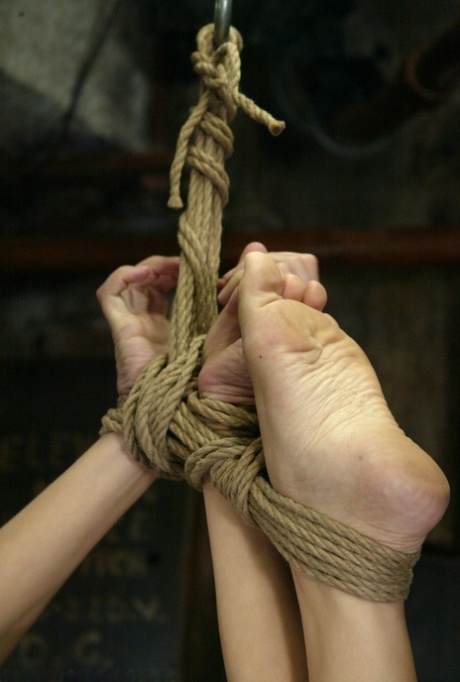 buco della gloria in ebano bel sesso collezione