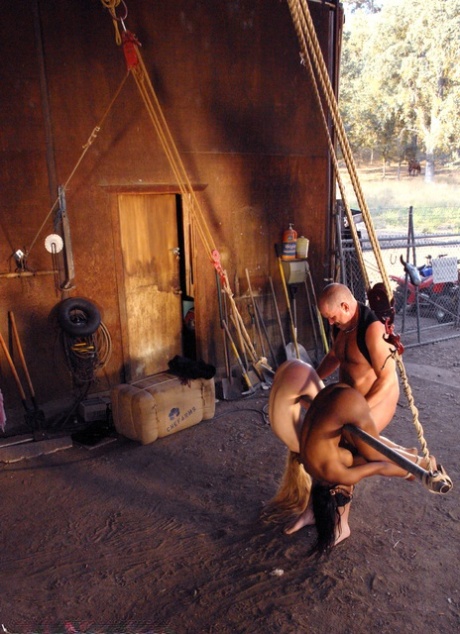 svart bdsm vakker pornografisk foto