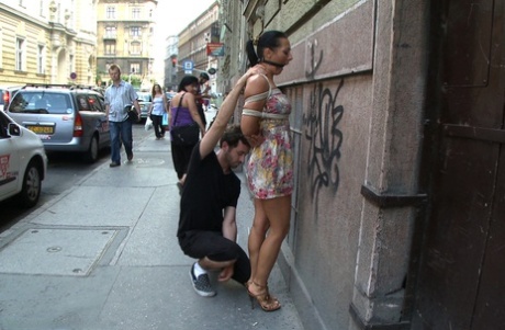public bdsm best archive