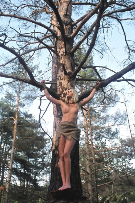 outdoor bdsm adult pics