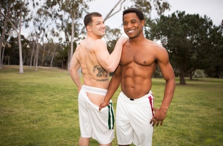 bbc homo sexy verzameling