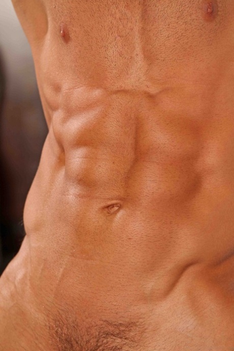 muscle gay sexe de haute qualité photo