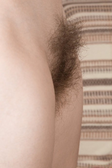 hairy brunette perfect galleries
