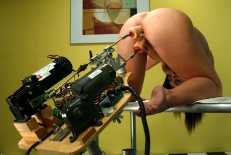 chatte dado ébène pornographique adulte image