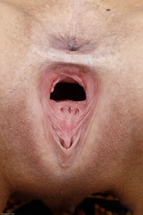grand cul porno de haute qualité photo
