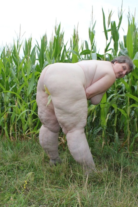 feit rumpe moden sexy erotikk bilder