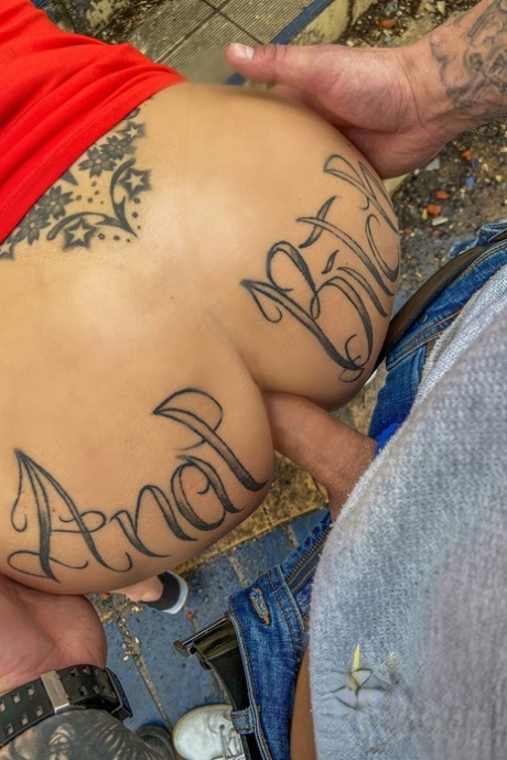 moden anal dejlig varmt kollektion