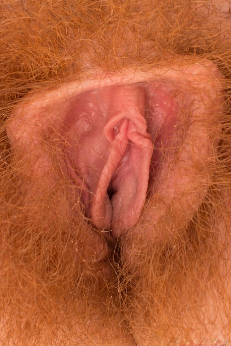 hairy redhead porno photo