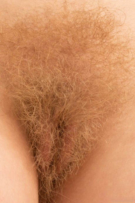 hairy blonde pornographic pics