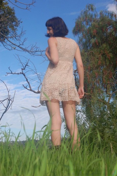 pale hairy free picture