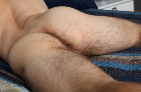 hairy gay pornos img