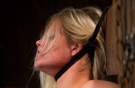 vibrator caldoxxx fotografie