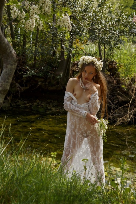 foresta bella hd collezione