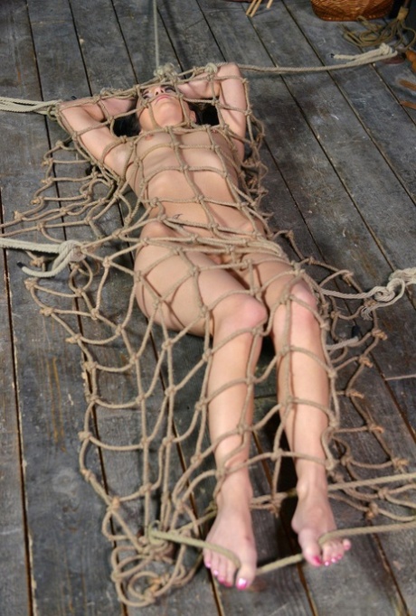 sesso bdsm adulto di alta qualità gallerie