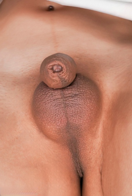 transexuelle petit pénis belle définition des photos