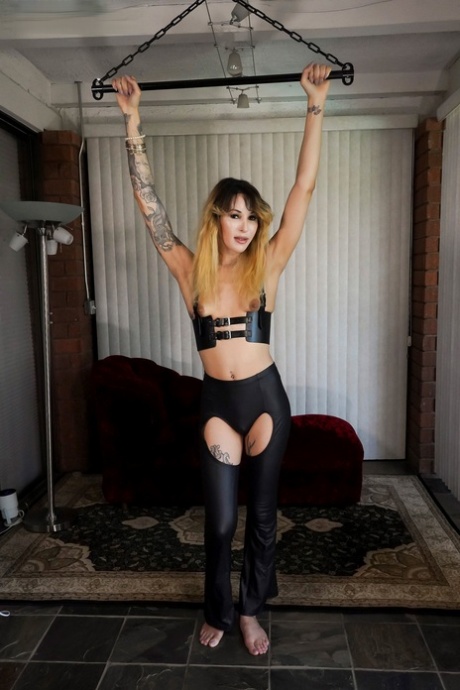 shemale bdsm art naked pic