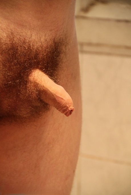 liten kuk gay fin hög kvalitet bild