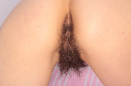 hairy ass free porn gallery