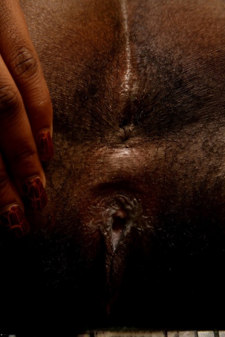 ebony hairy pussy sexy nude picture