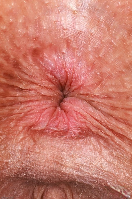 primer plano anal hd desnudo recopilación