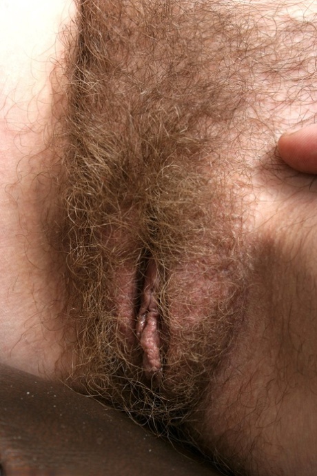 vagin poilu porno gratuit galerie