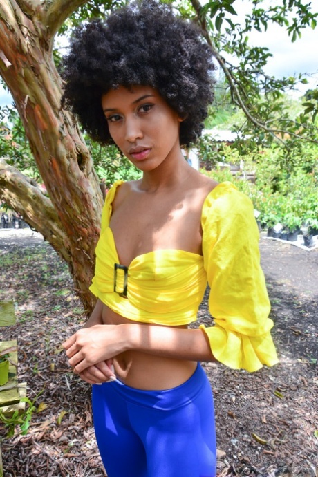 curly ebony beautiful img