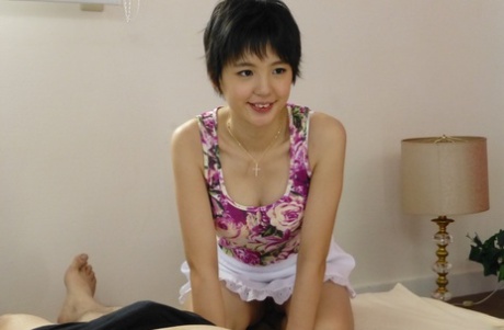 japansk kort hår dejligt bedst Foto